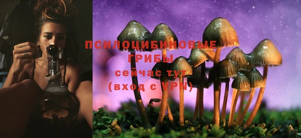 MESCALINE Бородино