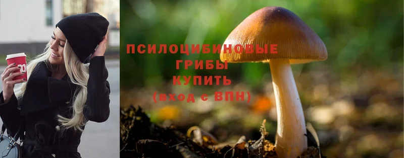 Галлюциногенные грибы GOLDEN TEACHER Костерёво