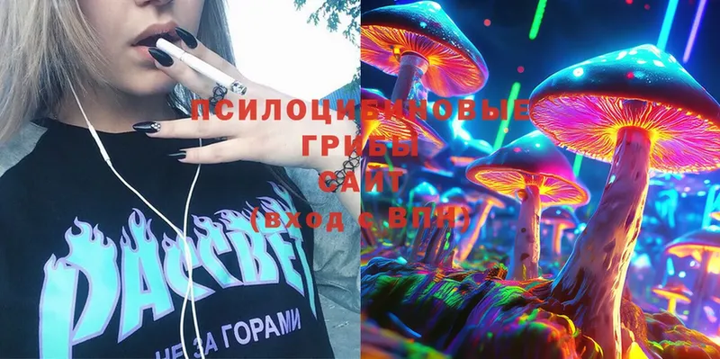 Псилоцибиновые грибы Magic Shrooms  Костерёво 